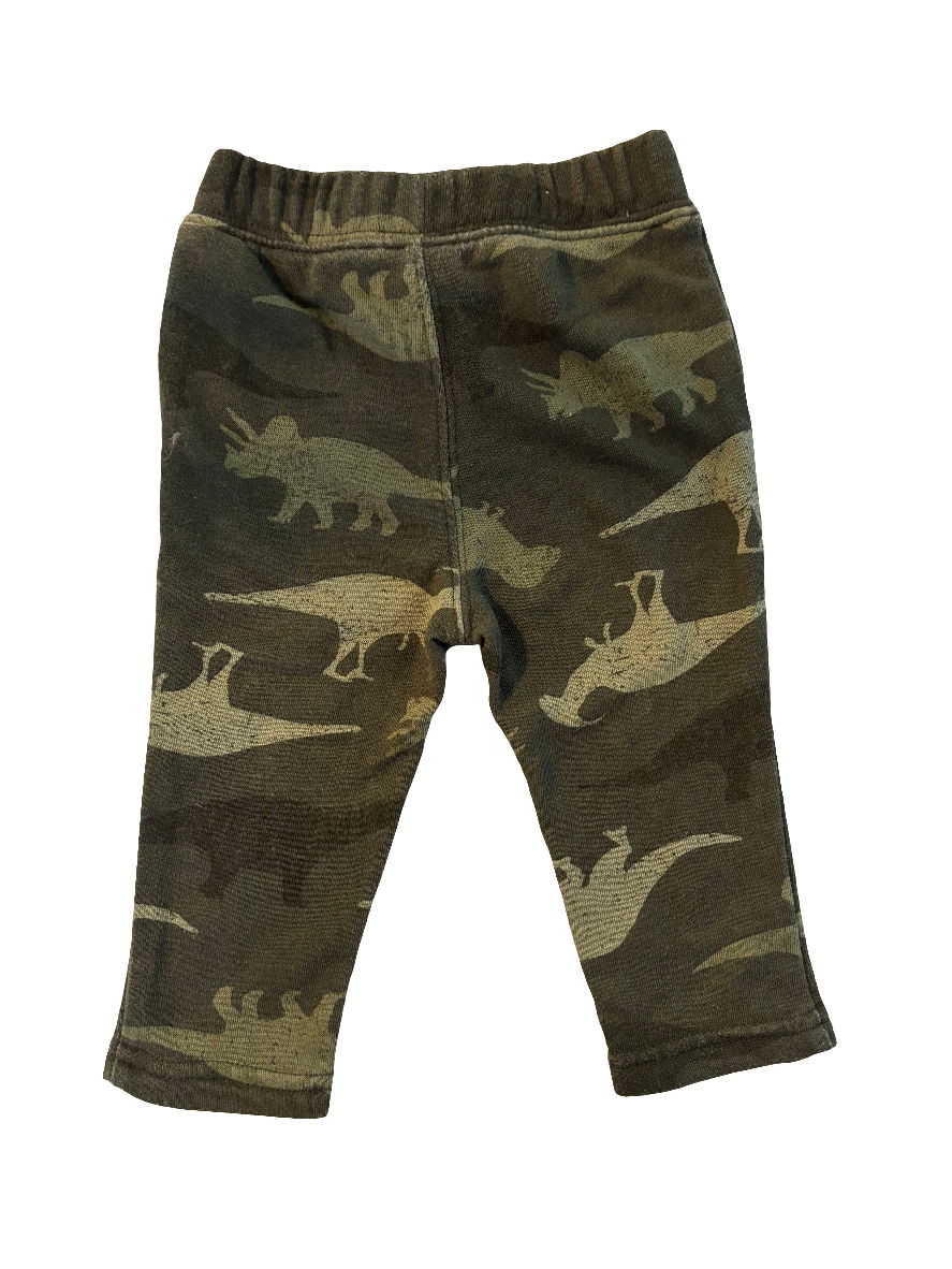 Dinosaur jogger pants