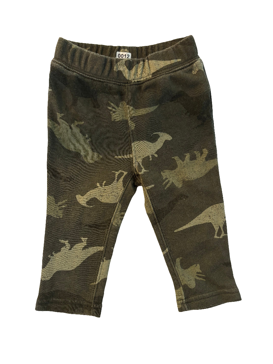 Dinosaur jogger pants